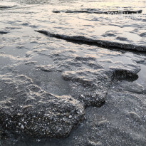 фото из отзыва ID 2718771