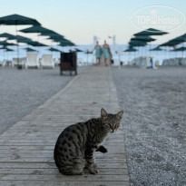 фото из отзыва ID 2718775