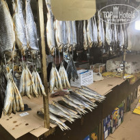 фото из отзыва ID 2718756