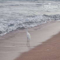 фото из отзыва ID 2718788