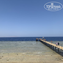 фото из отзыва ID 2718806