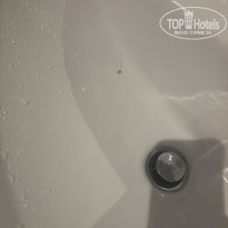 фото из отзыва ID 2718806