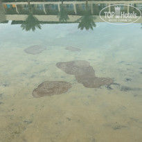 фото из отзыва ID 2718806