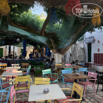 фото из отзыва ID 2718857