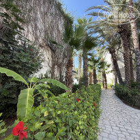 фото из отзыва ID 2718857