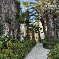 фото из отзыва ID 2718857