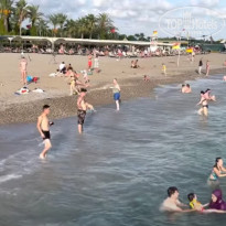 фото из отзыва ID 2718874