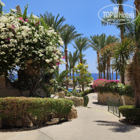 фото из отзыва ID 2718570