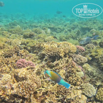 фото из отзыва ID 2718570