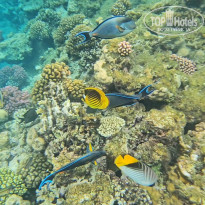 фото из отзыва ID 2718570