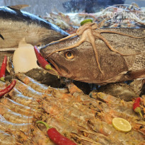 фото из отзыва ID 2718971