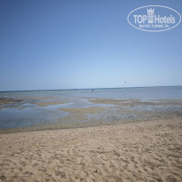 фото из отзыва ID 2718971