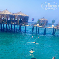 фото из отзыва ID 2718981