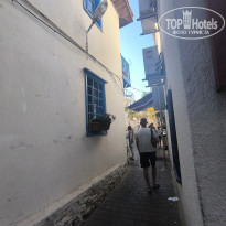 фото из отзыва ID 2718985