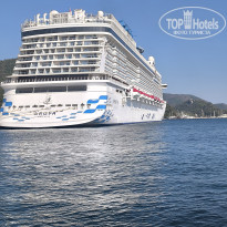 фото из отзыва ID 2718985