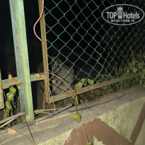 фото из отзыва ID 2718985