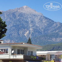 фото из отзыва ID 2719047