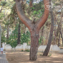 фото из отзыва ID 2719047