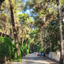 фото из отзыва ID 2719047