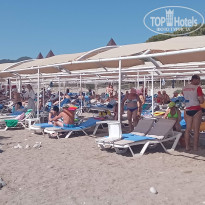 фото из отзыва ID 2719047