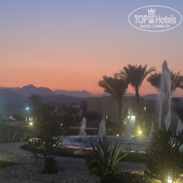 фото из отзыва ID 2719067