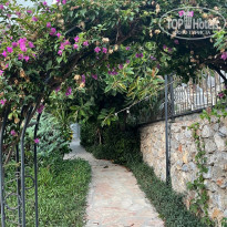 фото из отзыва ID 2719078