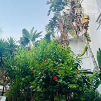 фото из отзыва ID 2719078