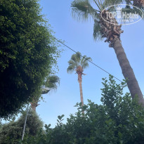 фото из отзыва ID 2719078