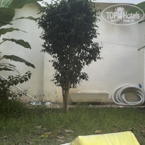 фото из отзыва ID 2719088