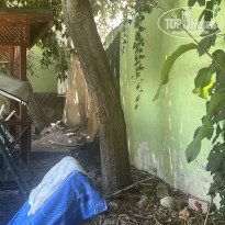 фото из отзыва ID 2719088