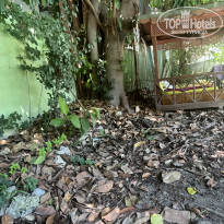 фото из отзыва ID 2719088