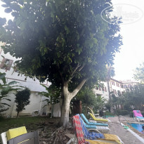 фото из отзыва ID 2719088