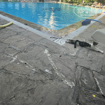 фото из отзыва ID 2719088