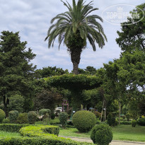 фото из отзыва ID 2719122