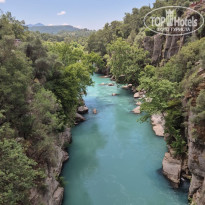 фото из отзыва ID 2719136