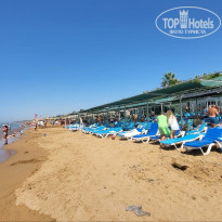 фото из отзыва ID 2719158