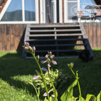 фото из отзыва ID 2719171