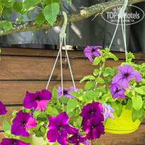 фото из отзыва ID 2719171