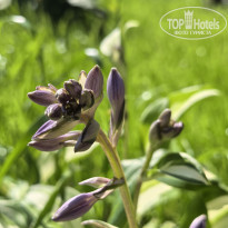 фото из отзыва ID 2719171