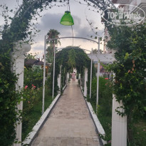 фото из отзыва ID 2719185