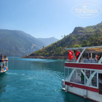 фото из отзыва ID 2719185