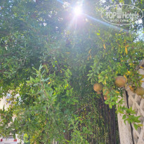 фото из отзыва ID 2719185