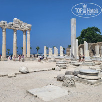 фото из отзыва ID 2719185