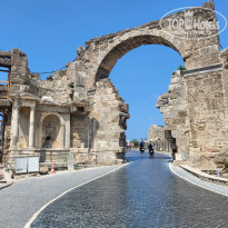 фото из отзыва ID 2719185