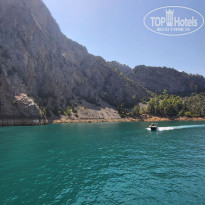 фото из отзыва ID 2719185