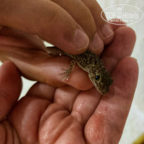 фото из отзыва ID 2719199