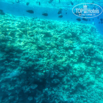 фото из отзыва ID 2719199