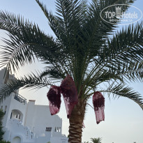 фото из отзыва ID 2719199