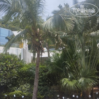 фото из отзыва ID 2719260