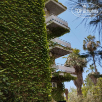 фото из отзыва ID 2719265